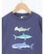 【吸水速乾】サメプリントTシャツ