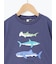 【吸水速乾】サメプリントTシャツ