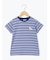 【吸水速乾】マルチボーダーカモメ刺繍Tシャツ
