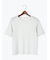 無地/ラメボーダー半袖Tシャツ