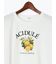 フルーツモチーフ柄Tシャツ