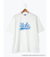 【UCLA】テールロゴTシャツ