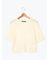 ラグラン半袖プルオーバーニット《2025autumn catalog item》