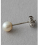 PT900 パール ピアス