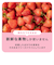 もぐもぐフルーツ　365/いちご※