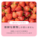 もぐもぐフルーツ　365/いちご※