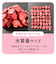もぐもぐフルーツ　365/いちご※