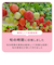 もぐもぐフルーツ　365/いちご※