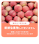 もぐもぐフルーツ　365/りんご※