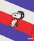 Wide Striped SNOOPY Tee