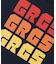 3GRCS Logo Tee