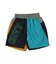 Nylon Taffeta Shorts