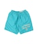 Polyester Weather Cloth PENNIE Shorts