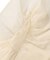 Ripstopped Sheer Taffeta Butterfly Sleeve Blouse