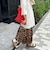 ＜Ｌｔｄ＞　ＯＶＥＲ　ＫＮＩＴ　ＯＮＥ－ＰＩＥＣＥ