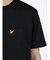 ライル&スコット/LYLE&SCOTT ブライトストライプ クルーネック半袖Tシャツ