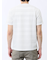 メッシュボーダー Vネック半袖Tシャツ