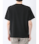 ドビー天竺 Vネック半袖Tシャツ