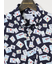 【大きいサイズ】CLASSIC THE BROWNS 日本製 綿リップル ボタンダウン半袖シャツ