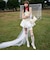 Kyra キラー エンブロイダリーメッシュ スティレットパンプス