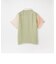 【Needles】S/S Classic Shirt Poly Sateen Multi Color MR257