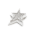 スターブローチ