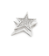 スターブローチ