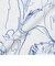 【EDITION掲載】【吸水速乾・マシンウォッシャブル】ラインライオンプリントブラウス