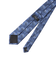 シルクタイ