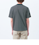 バッキンガムベア ランダムボーダー ワンポイントTシャツ