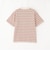 バッキンガムベア マルチボーダーTシャツ