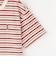 バッキンガムベア マルチボーダーTシャツ