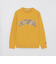 ヘッジホッグカレッジプルオーバー