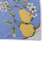 【WEB限定】【manipuri】＜シルクスカーフ88＞アンティークレシピ