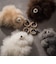 【COSY】SMALL BEARチャーム