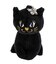アナスイ ANNA SUI ワンダー ショルダーバッグ（小）