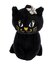 アナスイ ANNA SUI ワンダー ショルダーバッグ（小）