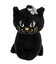 アナスイ ANNA SUI ワンダー ショルダーバッグ（大）