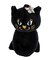 アナスイ ANNA SUI ワンダー ショルダーバッグ（大）