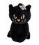 アナスイ ANNA SUI ワンダー ショルダーバッグ（大）