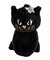 アナスイ ANNA SUI ワンダー 2wayミニボストン