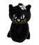 アナスイ ANNA SUI ワンダー 2wayミニボストン