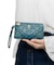 アナスイ ANNA SUI ピーコック フラグメントケース
