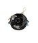 アナスイ ANNA SUI ローズローズ ショルダーバッグ