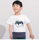バイカラーアニマルプリント天竺半袖Tシャツ(80~140cm)