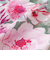 【お揃い】花柄チェックポケットフリルキュロット(90~130cm)