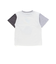 恐竜ピラミッドプリントサガラ刺しゅう袖配色Tシャツ(80~130cm)