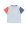 恐竜ピラミッドプリントサガラ刺しゅう袖配色Tシャツ(80~130cm)