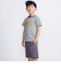 自転車プリントマルチボーダー天竺半袖Tシャツ(90~160cm)