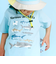 【吸汗速乾】恐竜サメ図鑑風発泡プリントTシャツ(80~130cm)